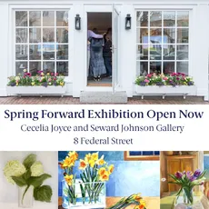 Stop by Cecelia Joyce and Seward Johnson Gallery to view our current exhibition, Spring Forward!

Located at 8 Federal Street, local AAN artists are selling a variety of work including jewelry, ceramics, and of course one of a kind paintings and photographs!

Come check us out:
Cecelia Joyce and Seward Johnson Gallery-8 Federal Street
