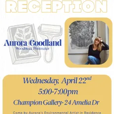 Tonight we are hosting our Environmental Artist in Residence, Aurora Goodland! 

Stop by and see a variety of Auroras work, many done with local students and community members! 
 
5:00-7:00pm
24 Amelia Dr
Champion Gallery, Visual Art Center