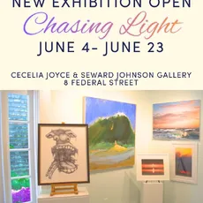 Want to get your hands on some new art... 

Check out our newest exhibition Chasing Light! 

Located at Cecelia Joyce & Seward Johnson Gallery, 8 Federal Street