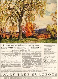 Davey Tree Ad, 1924, Frank Swift Chase painting