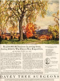 Davey Tree Ad, 1924, Frank Swift Chase painting