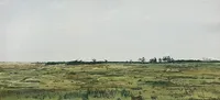 Conservation Foiundation Bogs #17