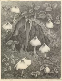 Deep in the Woods - stone lithograph