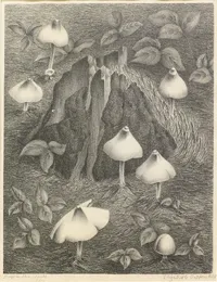Deep in the Woods - stone lithograph