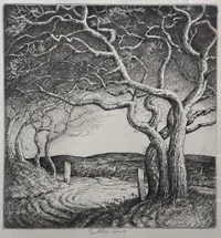 Nantucket Road (Stae #2, night version)