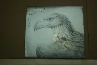 Aquiline Plate
