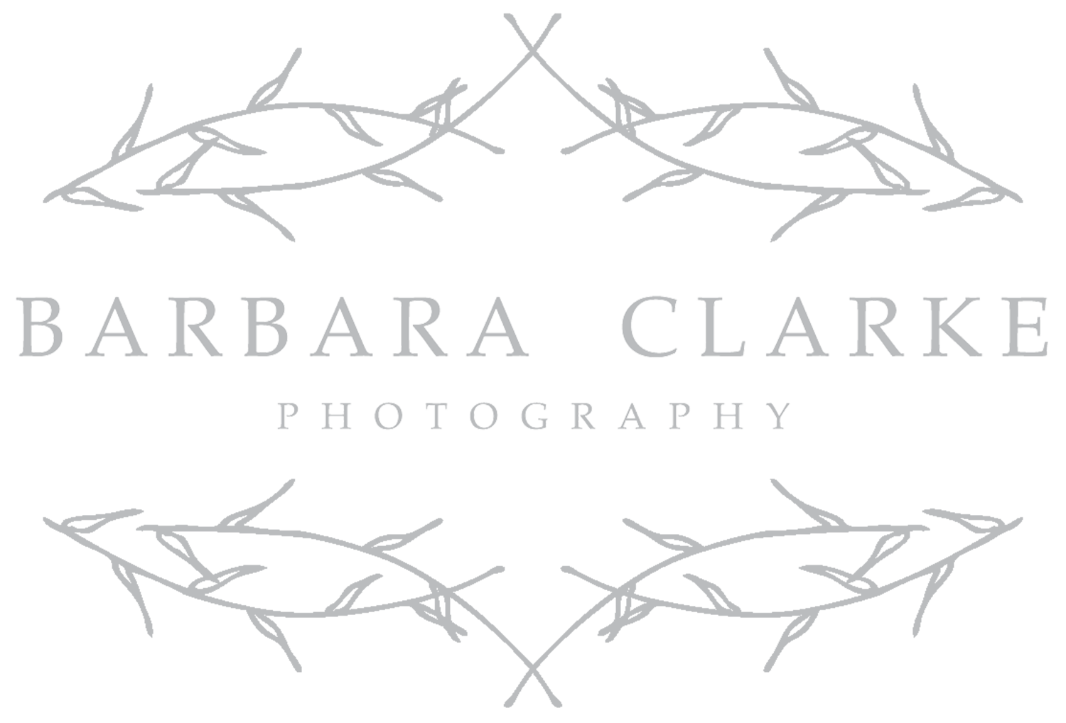 Barbara Clarke Photography