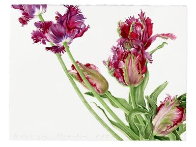 Botanical Watercolor Painting, 18+