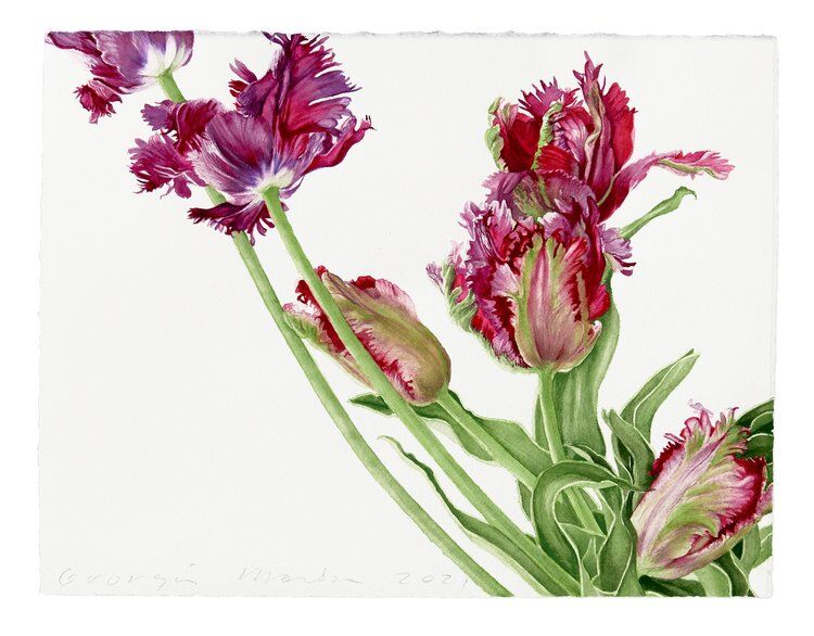 Botanical Watercolor Painting, 18+