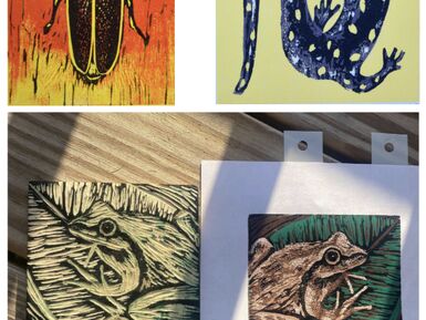 EAIR Climate ACKtion Printmaking & Posters: Protect Nantucket’s Nature, Ages 14+