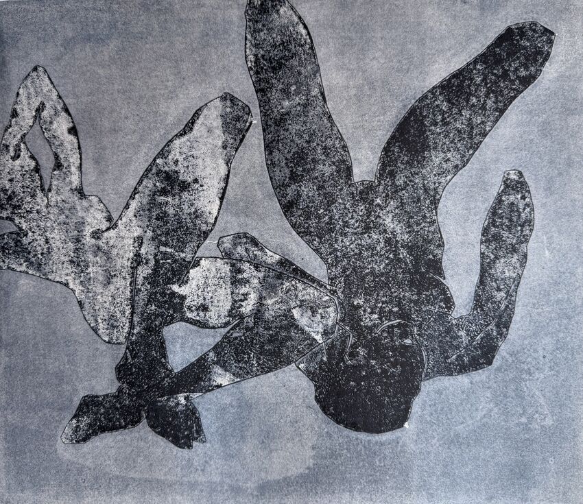 Monoprint Magic: Drypoint and Monotype Techniques, 18+