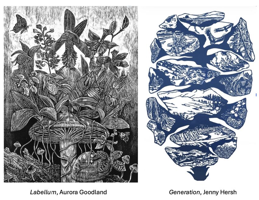 Special programming this spring with AAN's Environmental Artist in Residence program!