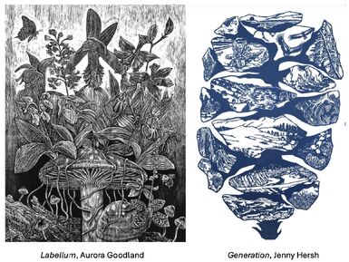 Special programming this spring with AAN's Environmental Artist in Residence program!