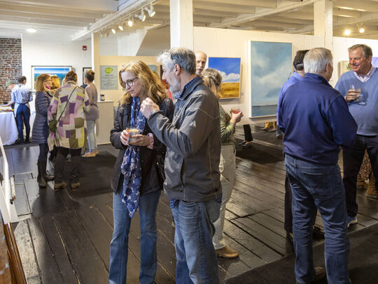 Bathed in Light Opening Reception