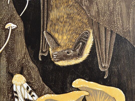 Environmental Artist in Residence Exhibition Reception and Talk