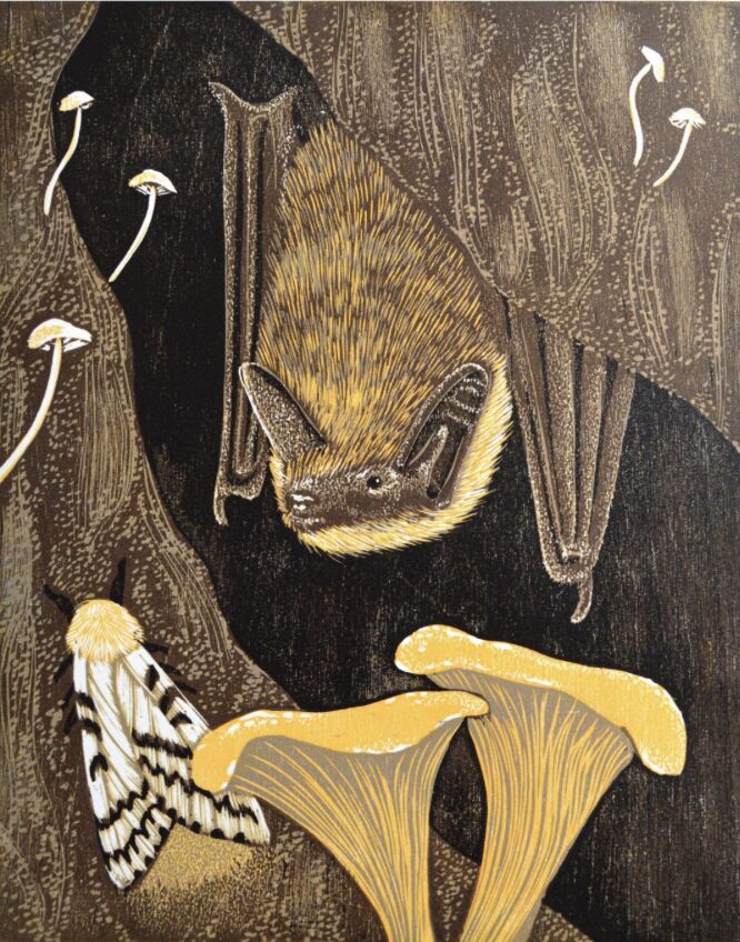 Environmental Artist in Residence Exhibition Reception and Talk