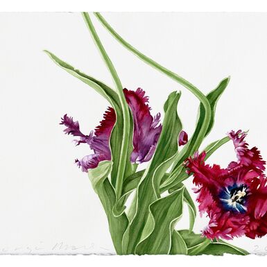 Botanical Watercolor Painting, 18+