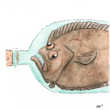 Flounder in a Bottle