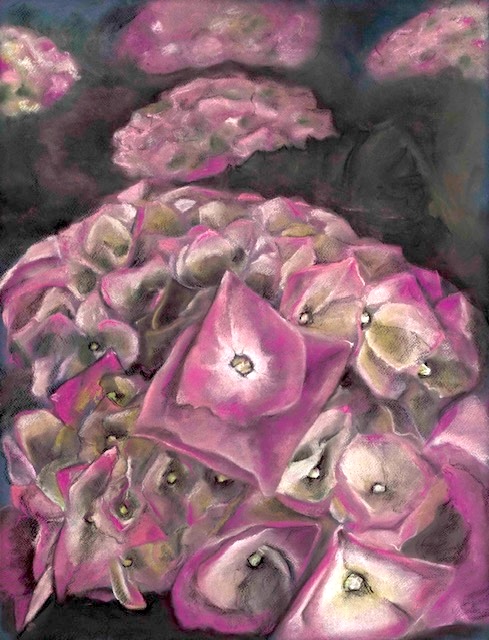 Sarah Arace